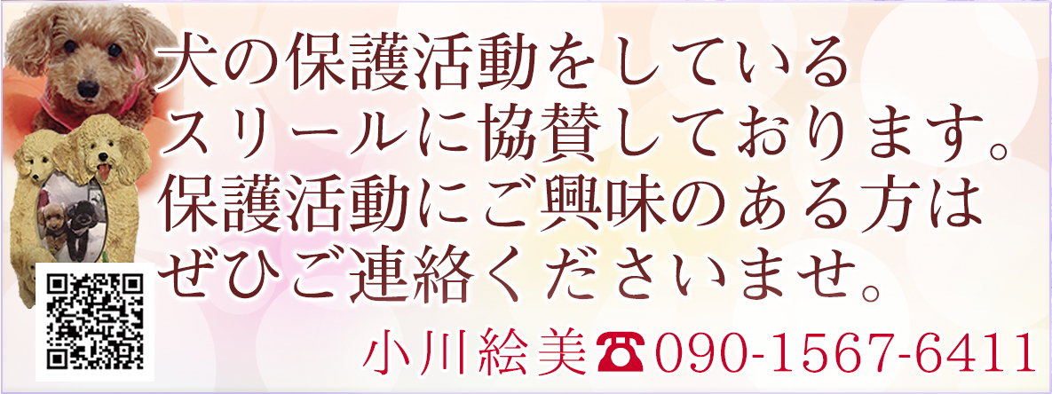 犬の保護活動をしているスリールに協賛しております。保護活動にご興味のある方はぜひご連絡くださいませ。
小川絵美　☎090-1567-6411