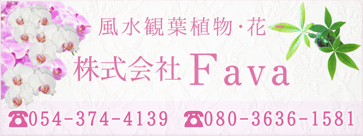 株式会社Fava 054-374-4139 080-3636-1581 風水観葉植物・花